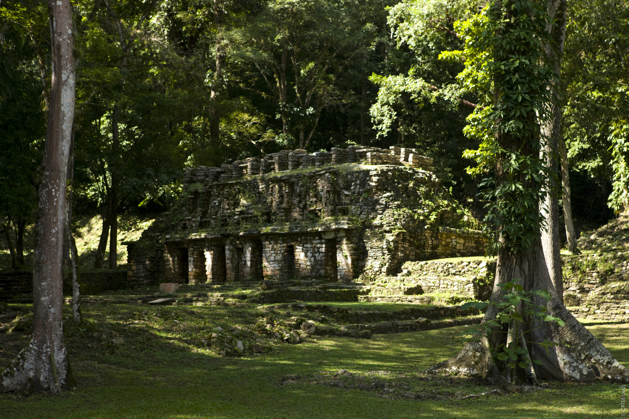 8. Chiapas Mundo Maya | 6 noches 7 días